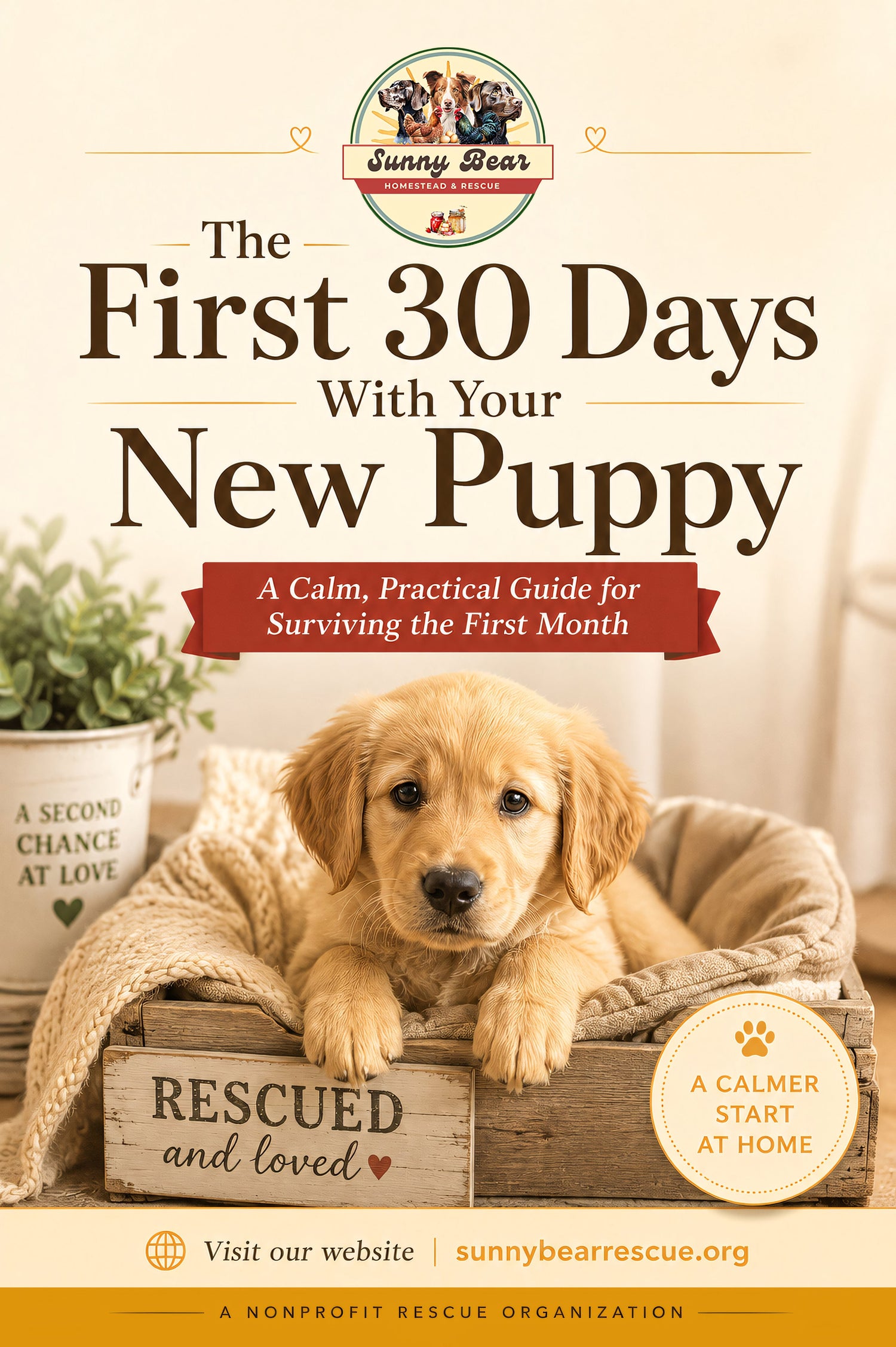 Sunny Bear Rescue Guide Books