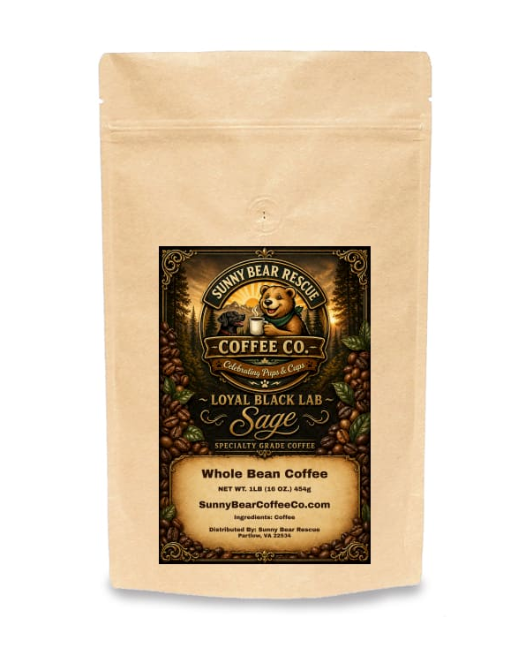 Loyal Black Lab ~ Sage Sunny Bear Rescue Coffee Co.