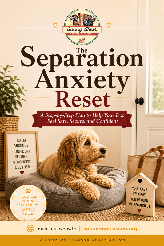 The Separation Anxiety Reset: A Calm, Practical Guide for Helping Pets Feel Safer When Left Alone