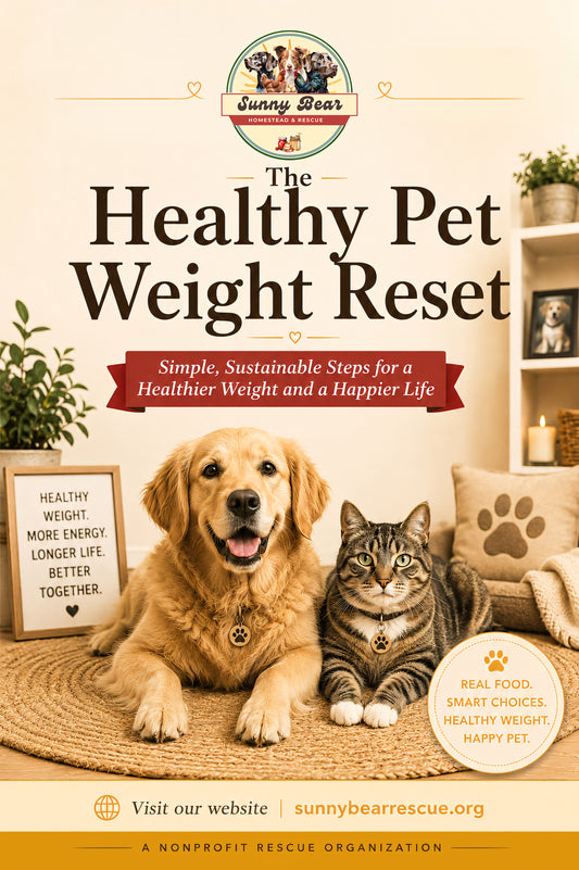 The Healthy Pet Weight Reset: A Gentle Guide to Food, Movement, Treats, and Better Daily Routines