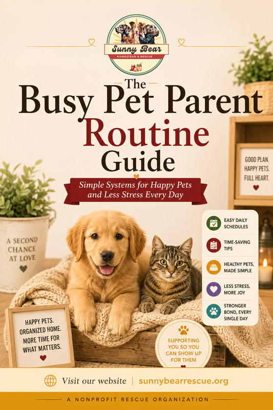 B37 ~ The Busy Pet Parent Routine Guide ~ A Practical Guide to Feeding, Walks, Play, Cleaning, and Care When Life Is Full