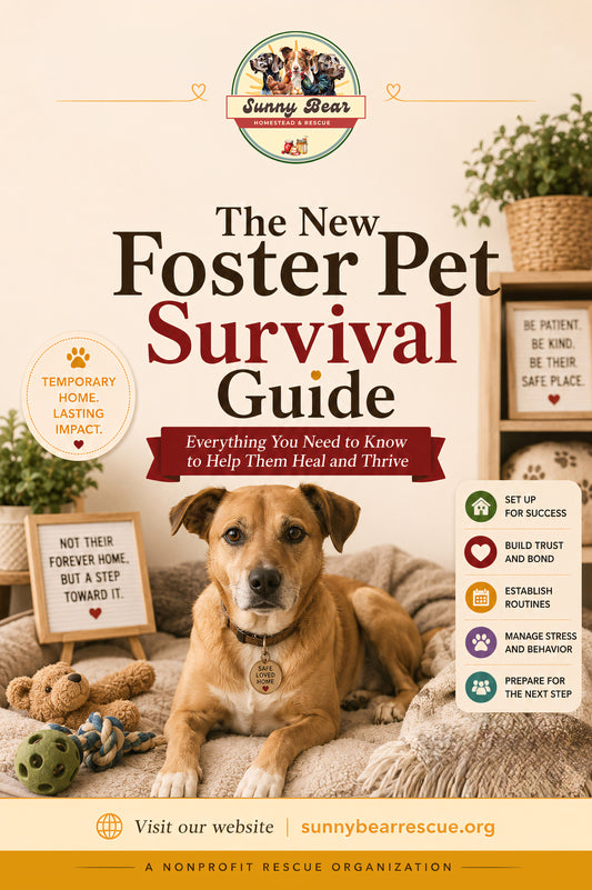 B43 ~ The New Foster Pet Survival Guide ~ A Practical Guide to Temporary Care, Routines, Boundaries, and Less Overwhelm
