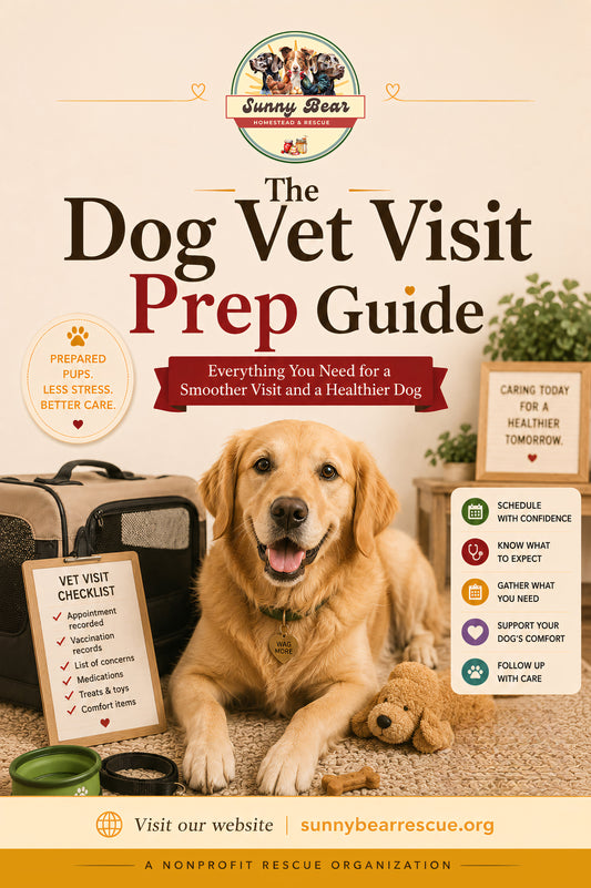 B46 ~ The Dog Vet Visit Prep Guide ~ A Practical Guide to Calmer Appointments, Better Notes, and Less Waiting-Room Stress