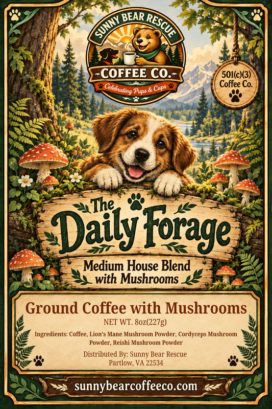 The Daily Forage - Med Roast with Mushrooms